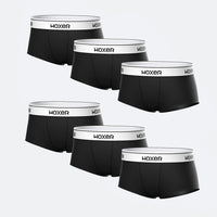 Bold Black 6-Pack