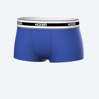 Bold Cobalt