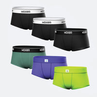 Bold Essentials 6-Pack
