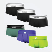 Bold Miami 6-Pack