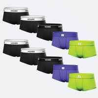 Bold Mood 10-Pack