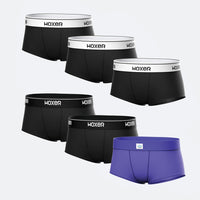 Bold Mood 6-Pack
