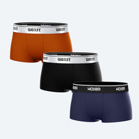Bold Disappear 3-Pack