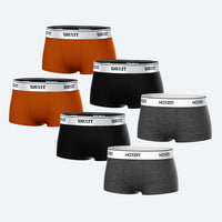 Bold Disrupt 6-Pack