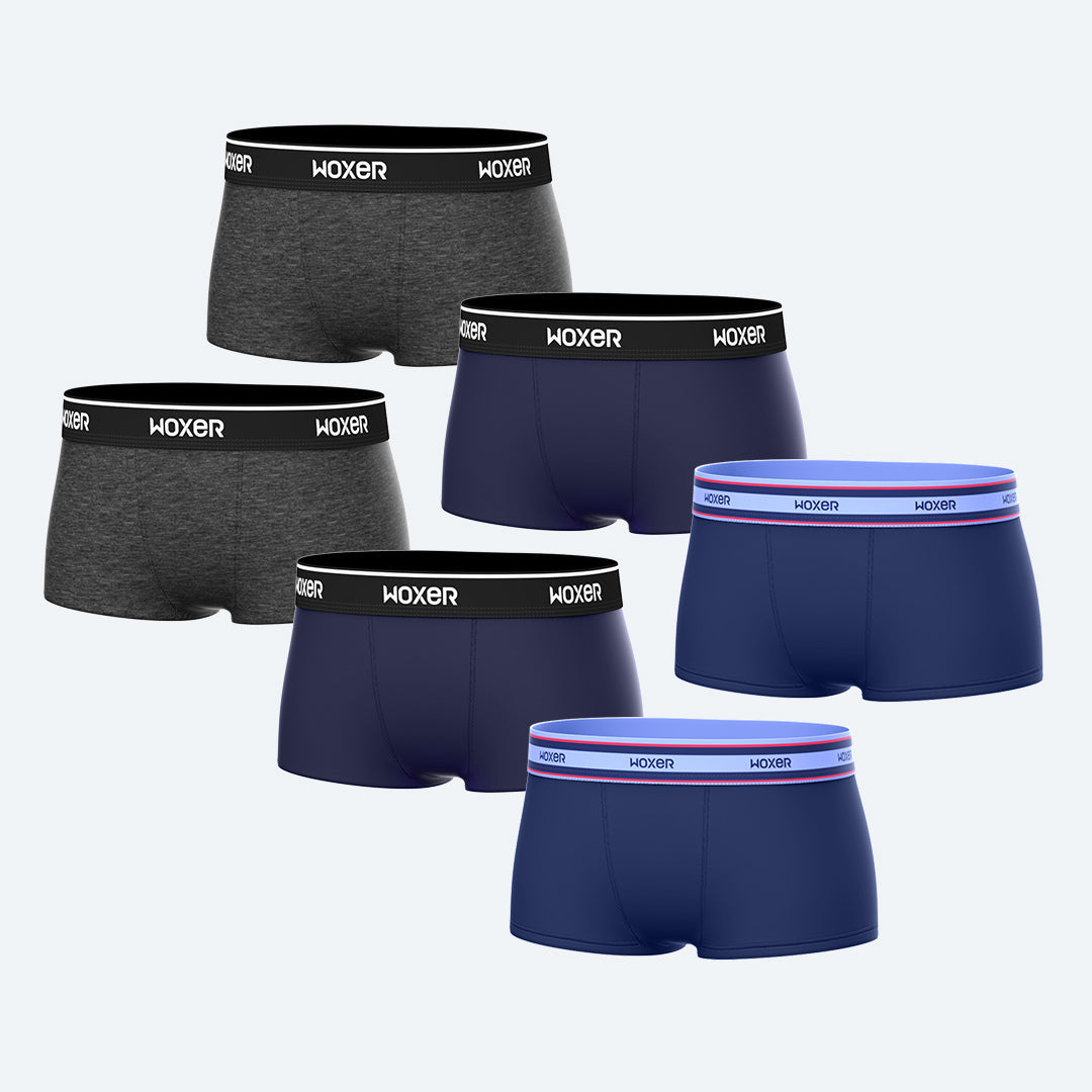 Bold Forest 6-Pack