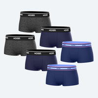 Bold Forest 6-Pack