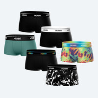 Bold Gratitude 6-Pack