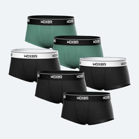 Bold Passion 6-Pack
