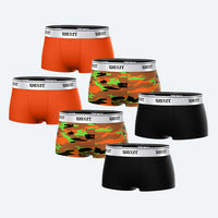 Bold Rogue 6-Pack