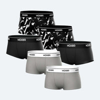 Bold Trailblazing 6-Pack