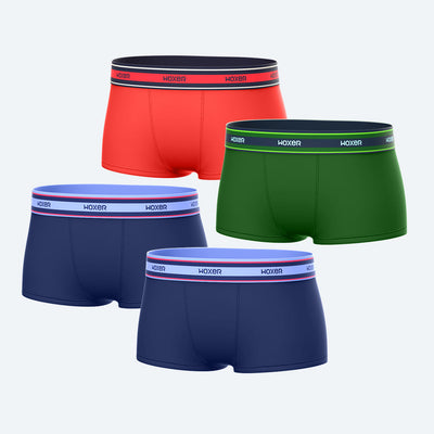 Bold Winter Brights 4-Pack