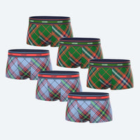 Bold Winter Brights 6-Pack