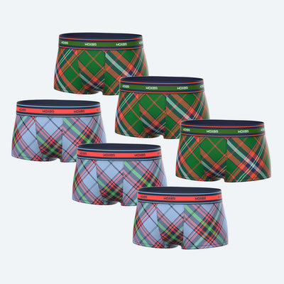 Bold Winter Brights 6-Pack