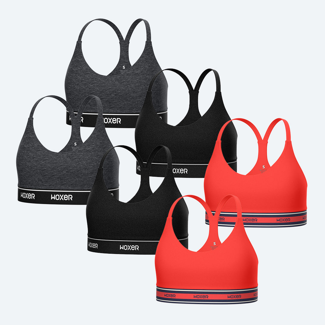 Icon Winter Brights 6-Pack