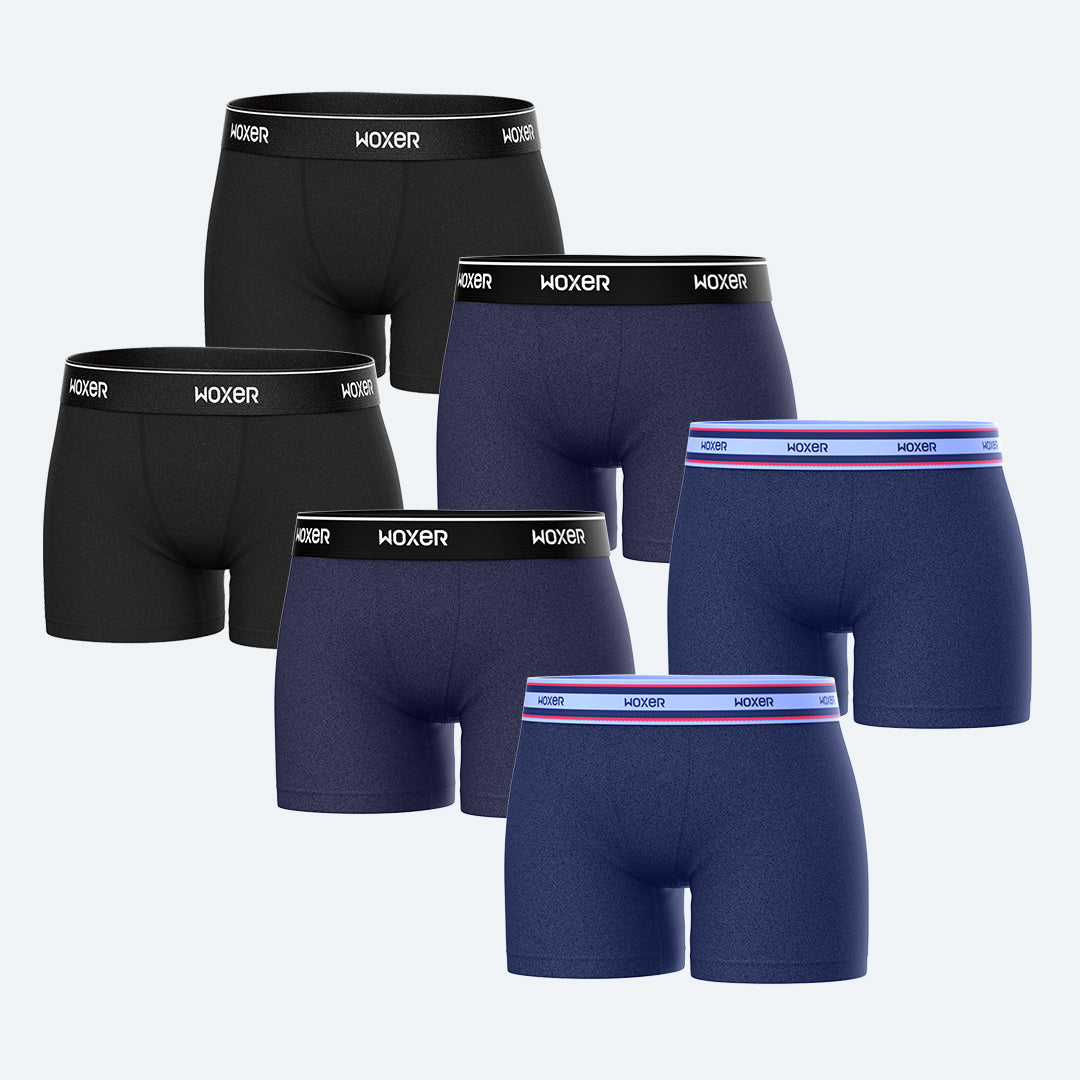 Star Forest 6-Pack