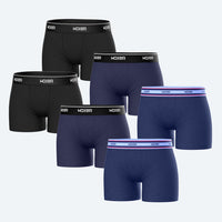 Star Forest 6-Pack
