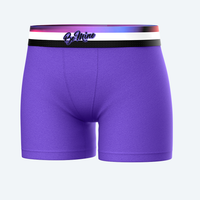 Star High Waisted Amethyst