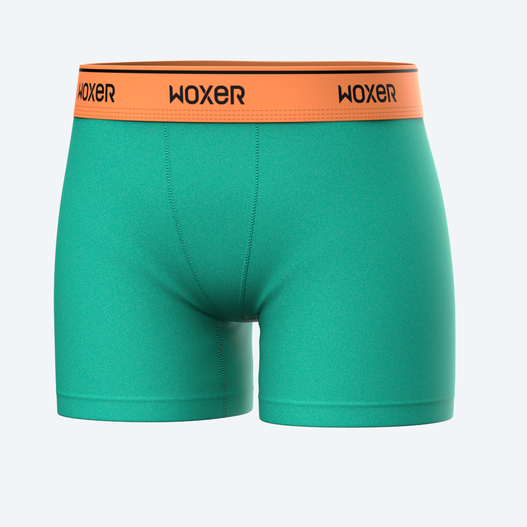Star High Waisted Mint