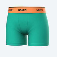 Star High Waisted Mint