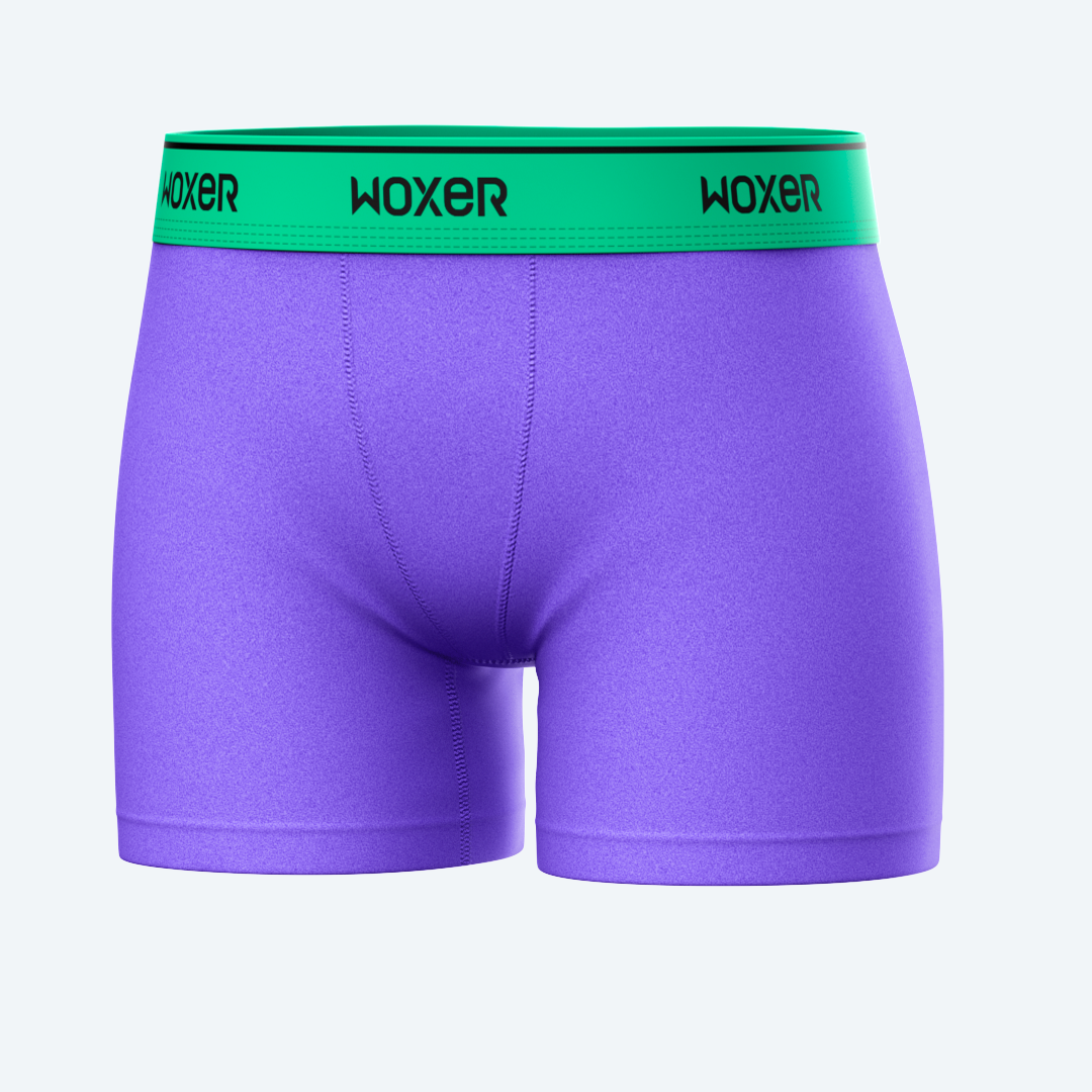 Star High Waisted Wisteria