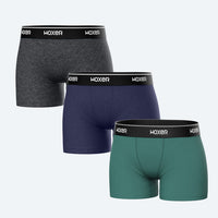 Star Ignite 3-Pack