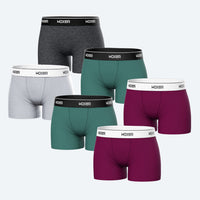 Star Loungy 6-Pack