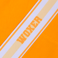 Bold Varsity Golden