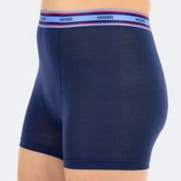 Star High Waisted Boreal 6-Pack